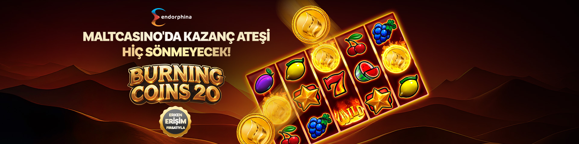 Burning Coins 20
